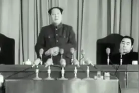 “打得一拳开，免得百拳来”，毛主席为什么要打出这一拳呢？视频封面