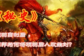 项羽自刎后，刘邦为何将项羽后人改姓刘？视频封面