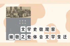 李洁非《文学史微观察》：从细微之处理解现当代文学的发展与变化视频封面