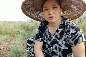 小葱施肥有讲究，按这个方法施肥，小葱长得粗葱白多视频封面