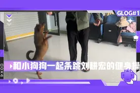 和小狗狗一起跳刘耕宏的健身操，好搞笑，快进来看看吧不笑你打我视频封面