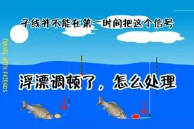浮漂经常送漂，而且总跑鱼怎么办？视频告诉你