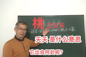 桃之夭夭中的“夭夭”是什么意思呢？“桃”字写错了吗？视频封面