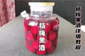 自制杨梅果酒，配方比例告诉你，酒香浓郁放1年不坏，做法超简单视频封面