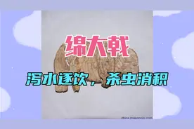 绵大戟，也叫狼毒，可泻水逐饮杀虫消积，用于水肿胀满痰食虫积视频封面