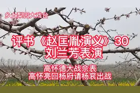 评书《赵匡胤演义》30“高怀德大战佘表 高怀亮杨府请杨衮出战”视频封面