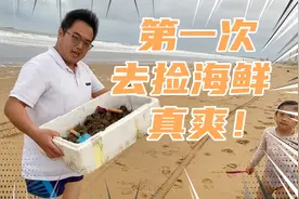 爸爸带女儿来海边赶海，第一次就捡到发财了！免费的吃着真香！视频封面