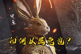 十二生肖兔也，犯者，日出之候。而中含太阴玉兔之精，故犯属兔视频封面