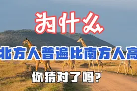 为什么北方人普遍比南方人高？竟然有人说是因为北方人吃面条视频封面