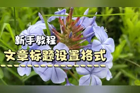 文章标题怎么设置格式？电脑版多标题让你增加收益视频封面