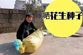 播种花生之前，这样做花生容易发芽，你们做到了吗？视频封面