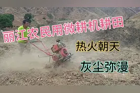 丽江农民用微耕机耕田，一起来看看是如何操作的?黄灰漫天视频封面