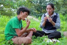 【柬埔寨小姐姐】-爬树上采摘榴莲