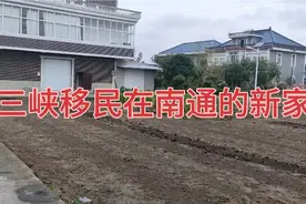 三峡移民来南通17年了，扶持移民创业20年，也没有创业成功，视频封面