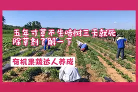 五年寸草不生，喷树三天就死，除草剂草甘膦你了解多少？视频封面