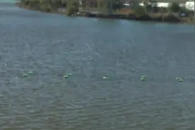 水塘里为什么放那么多塑料瓶视频封面