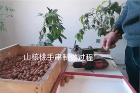 山核桃手串的制造过程