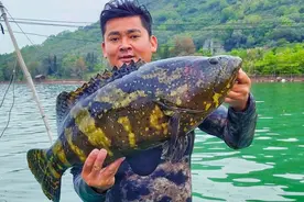 小伙潜水捕鱼在水下七米深，捕获龙趸大石斑，今天挣大了