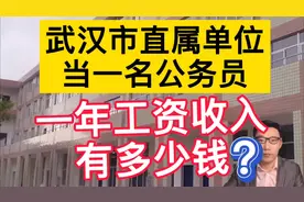武汉大学毕业5年，在武汉市直属单位当公务员，晒出真实工资待遇视频封面