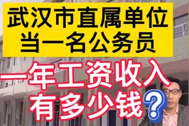 武汉大学毕业5年，在武汉市直属单位当公务员，晒出真实工资待遇视频封面