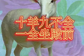 老话说：“十羊九不全，一全坐店前”，什么意思？有道理吗？视频封面