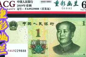 第五版人民币  2019版一元中的重彩幽兰！视频封面
