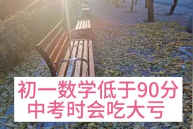 初一数学低于90分，中考时会吃大亏，一对一补课都来不及。视频封面