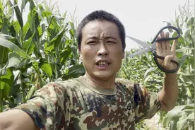 玉米砍头真能高产吗？砍过头的人说出真实情况，掌握技巧很重要视频封面