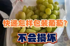 快递怎样包装葡萄不会损坏？怀来葡萄小镇的葡萄太好吃了