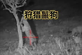 猎人清除斑鬣狗，面对真理鬣狗竟然敢冲上去硬碰硬视频封面