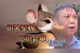 指鼠为鸭荒唐闹剧终于有了准确的答案，现实版赵高却没有一点责任视频封面