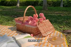 手把手带你一起拍野餐的唯美视频，原来自己给自己拍视频，好治愈视频封面