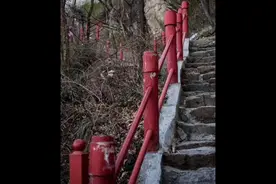 明天是农历三月初三，祖师爷玄天大帝圣诞日。愿见闻者，增福慧！视频封面