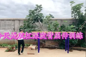 双杠深度臂屈伸有点费劲，68岁大叔只做了17个，练胸肌的力量视频封面
