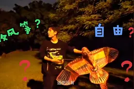 考古肖战2021年11月14发出的文案，晚上公园放紫色风筝为哪般？视频封面
