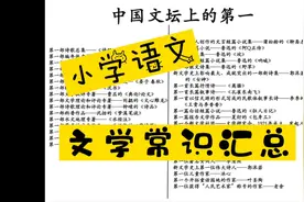 小学语文文学常识汇总视频封面