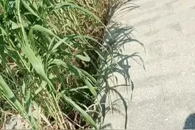 一个女人最好的心态，就是要学会爱自己视频封面