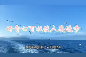 好奇心可以使人类进步视频封面
