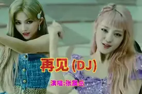 一首DJ《再见》我会牢牢记住你的脸，我会珍惜你的思念