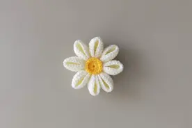 权志龙同款pmo小雏菊胸针钩织教程，明星同款你get到了吗？视频封面