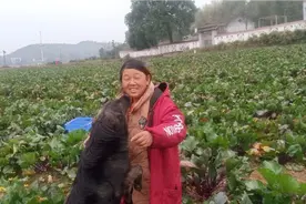 湖南湘潭县土地承包费多少 在这打工 ，工资能挣多少了解的详情视频封面