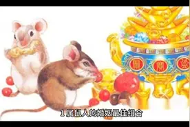 婚姻配对属相表视频封面