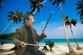 二胡演奏《春天的故事》季朝友
