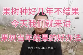 果树不结果，那是方法没用对，农村人教你当年结果的好办法视频封面