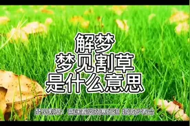 解梦，梦见割草是什么意思视频封面
