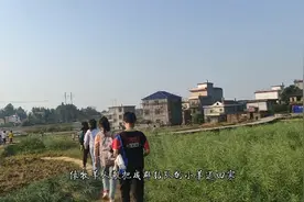 乡村教师vlog/防溺水家访，教育调皮的学生，吃爷爷煮的家常菜!视频封面