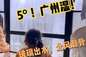 广州下雪了？！急冻摄氏5度，又风又雨，开个窗，把孩子冻的尖叫视频封面