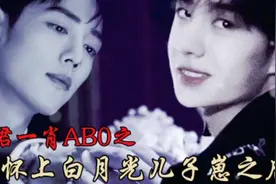 博君一肖AB0之与白月光儿子在一起之后29视频封面