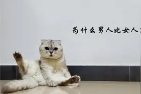 为什么男人比女人高？视频封面