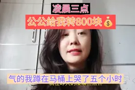 凌晨三点，公公给我转800块，气的我蹲在马桶上哭了五个小时视频封面